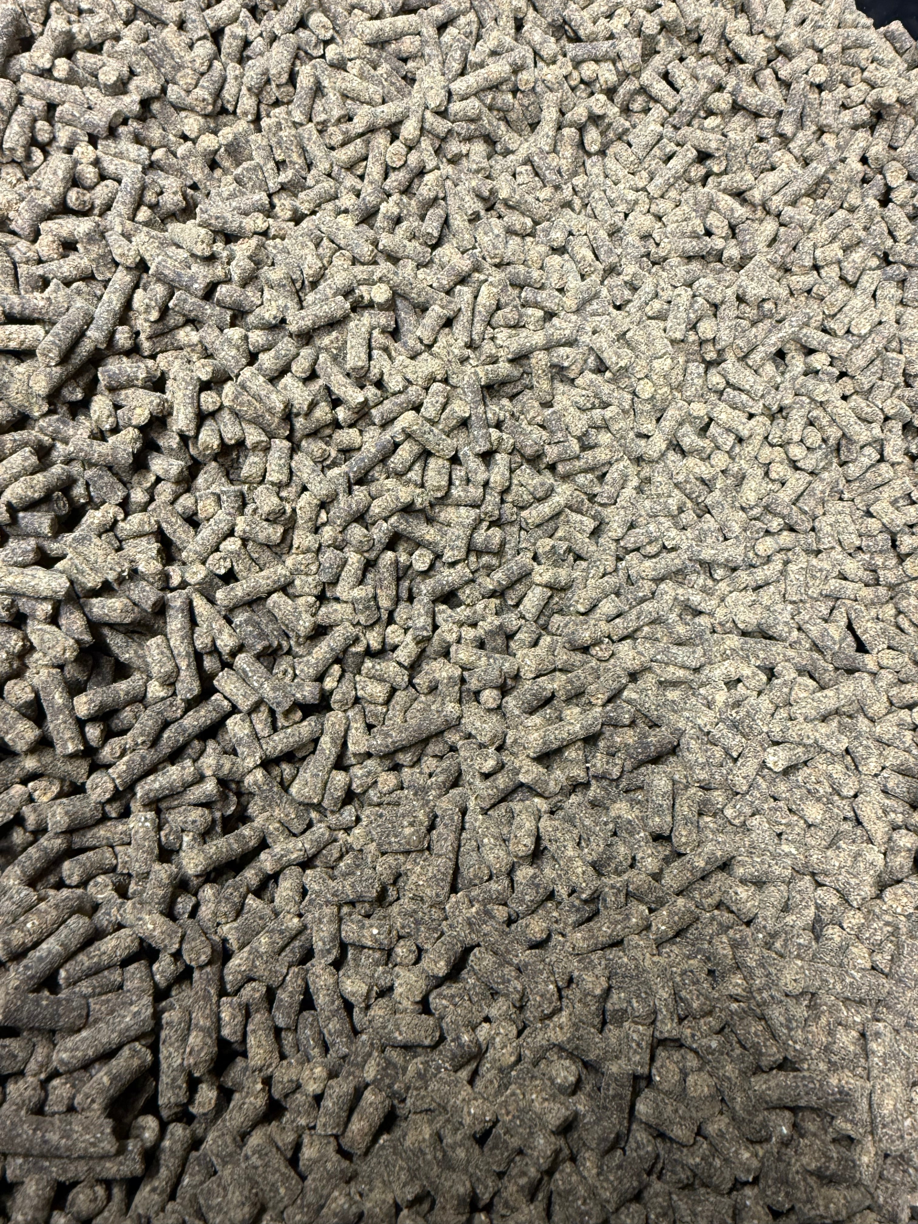Garlic Pellets 5mm