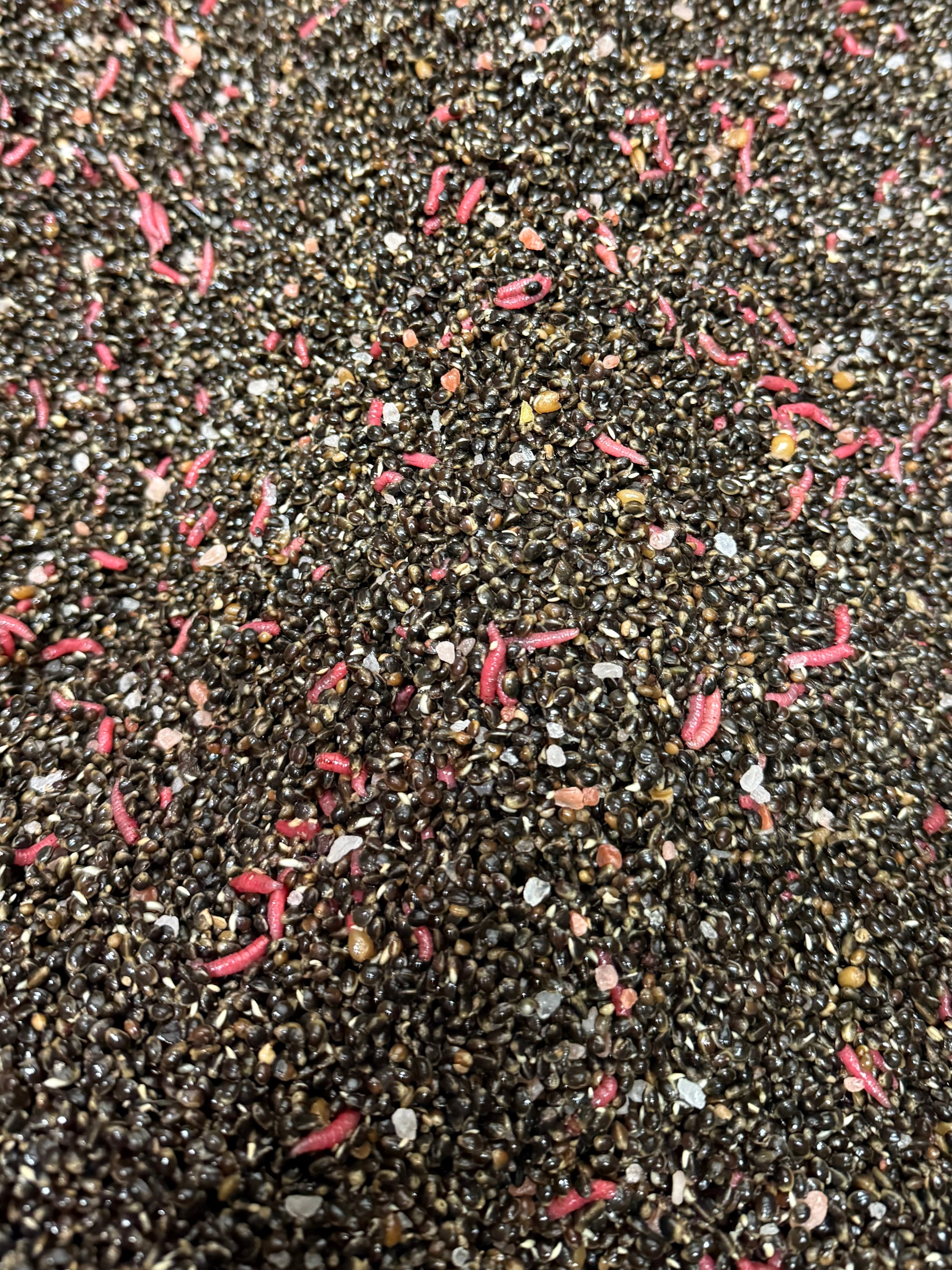 Hemp & Red Maggots