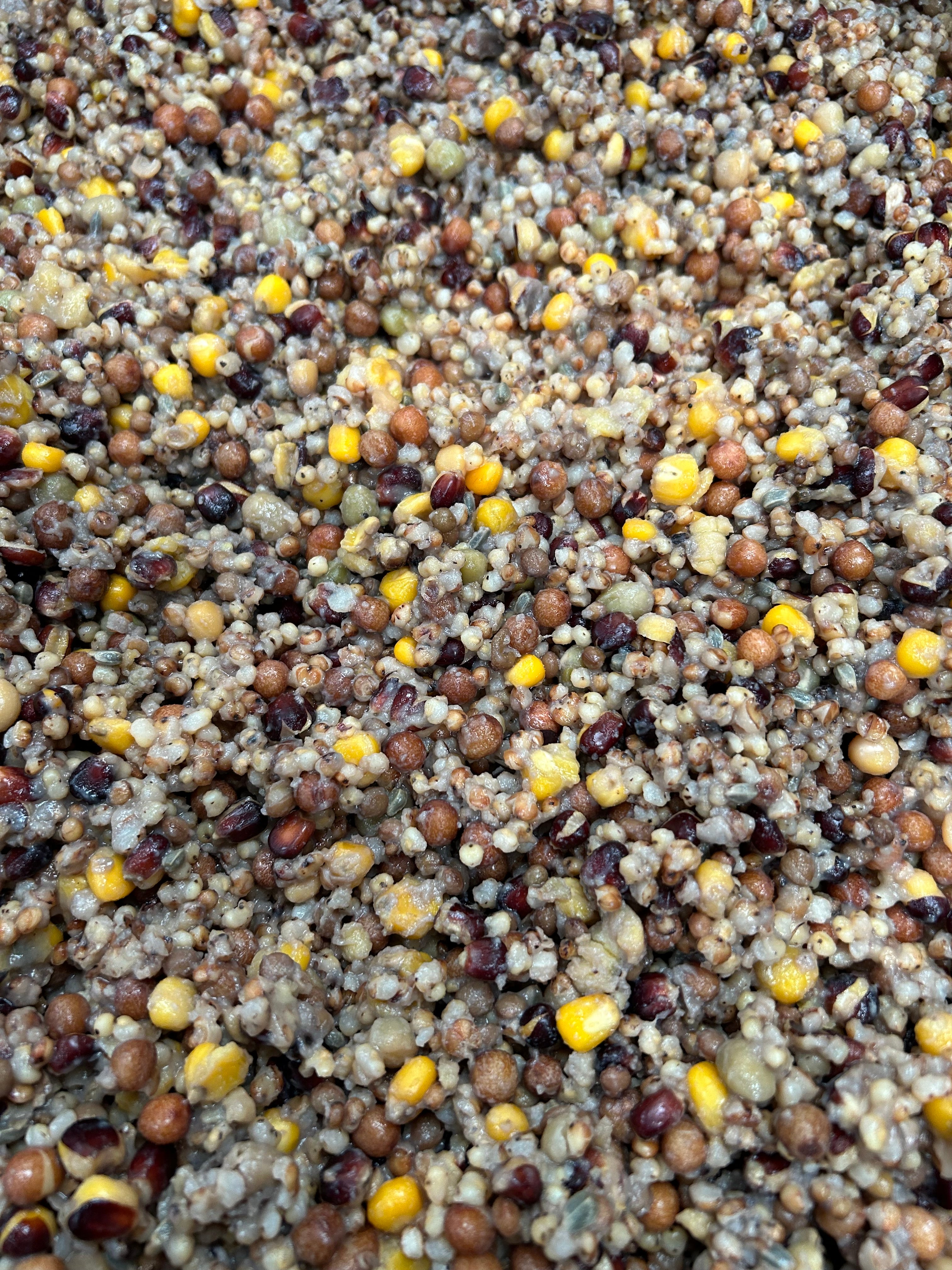 Shelf Life Spod Mix