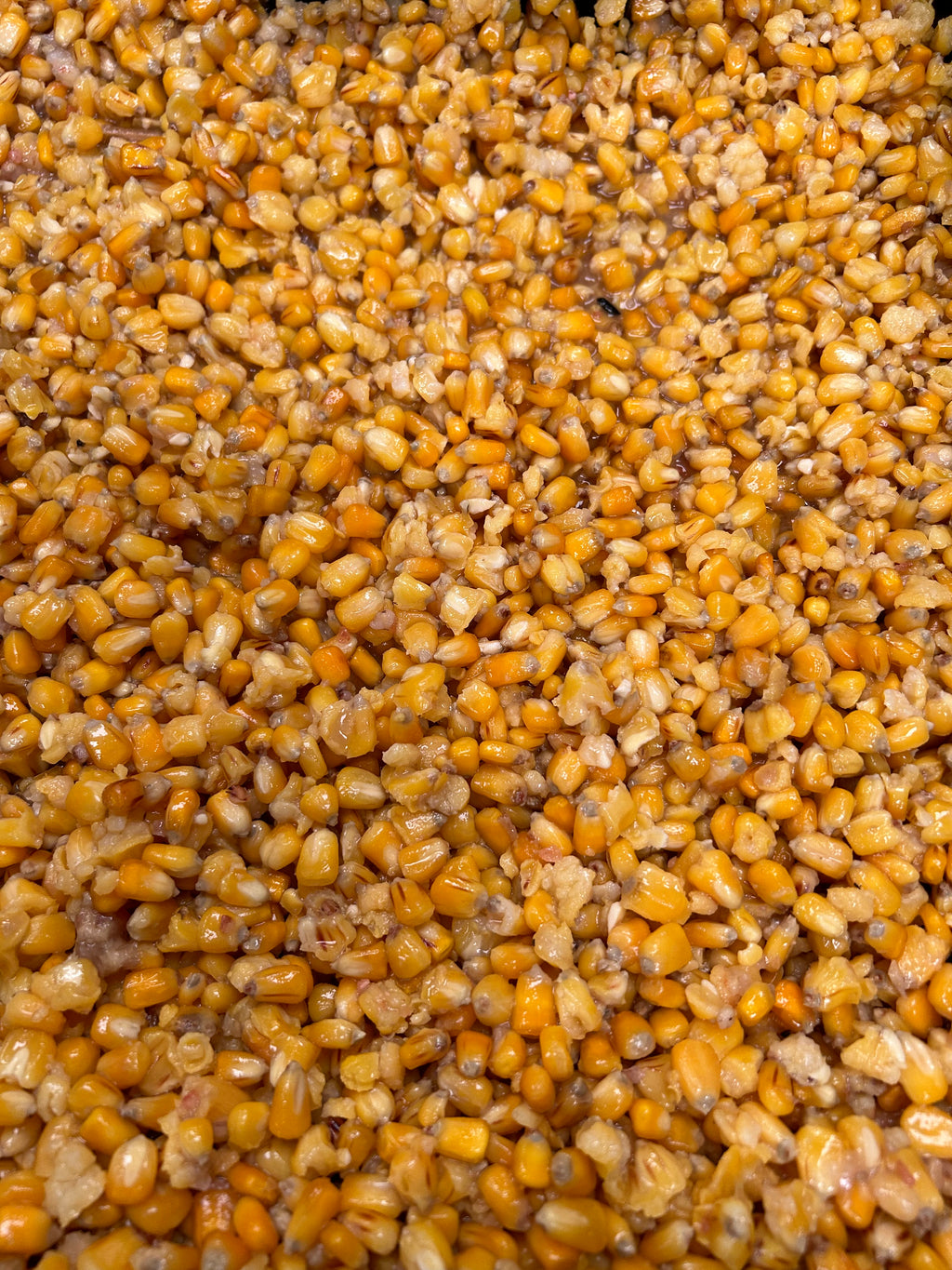 Shelf Life Maize with Himalayan Rock Salt