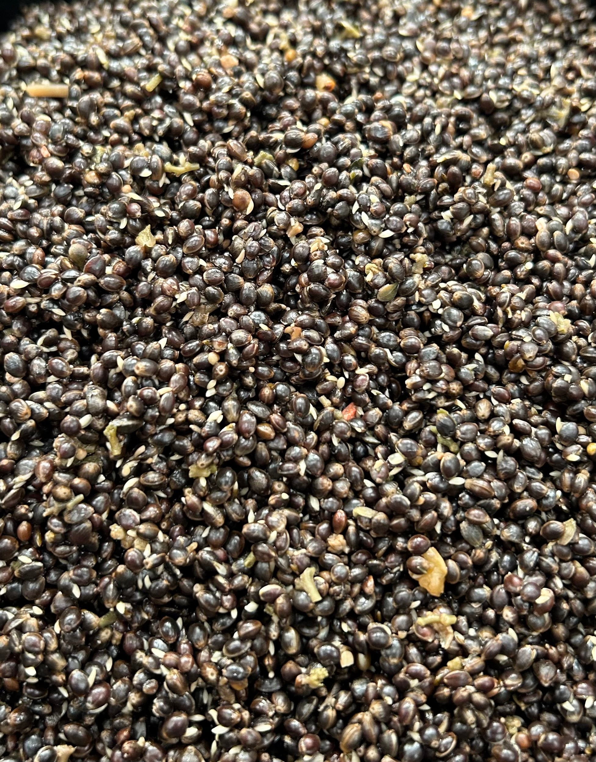 Shelf Life Hemp - Standard