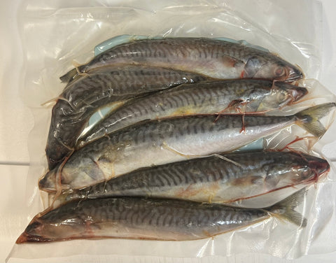 Mackerel