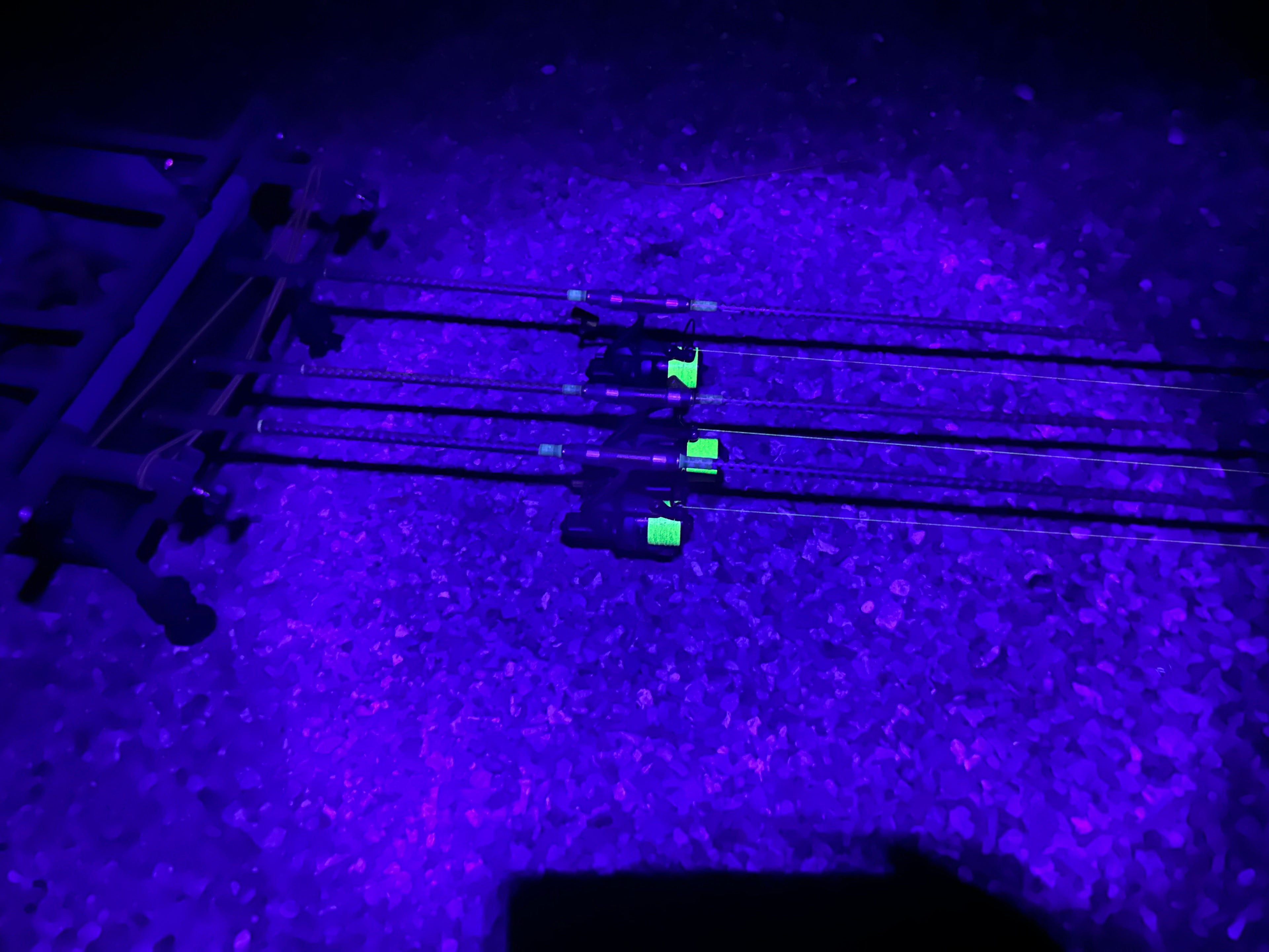 White & Purple Headtorch