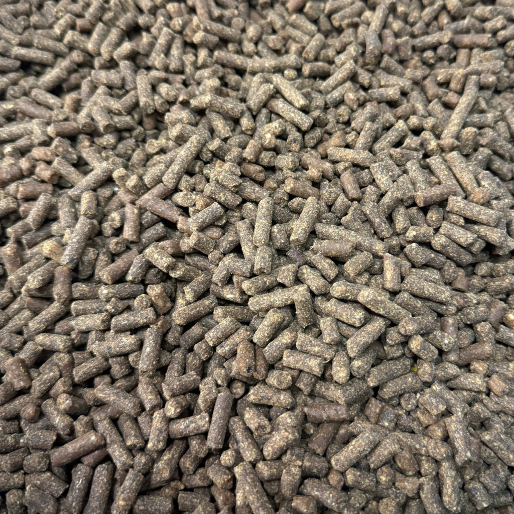 Green Lipped Mussel Pellets