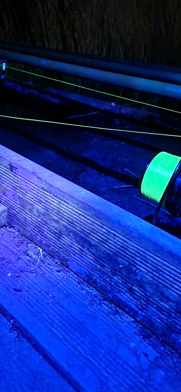 White & Purple Headtorch
