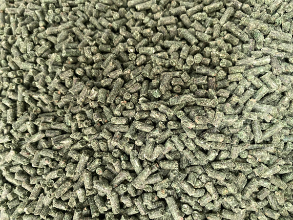 Green Lipped Mussel Pellets