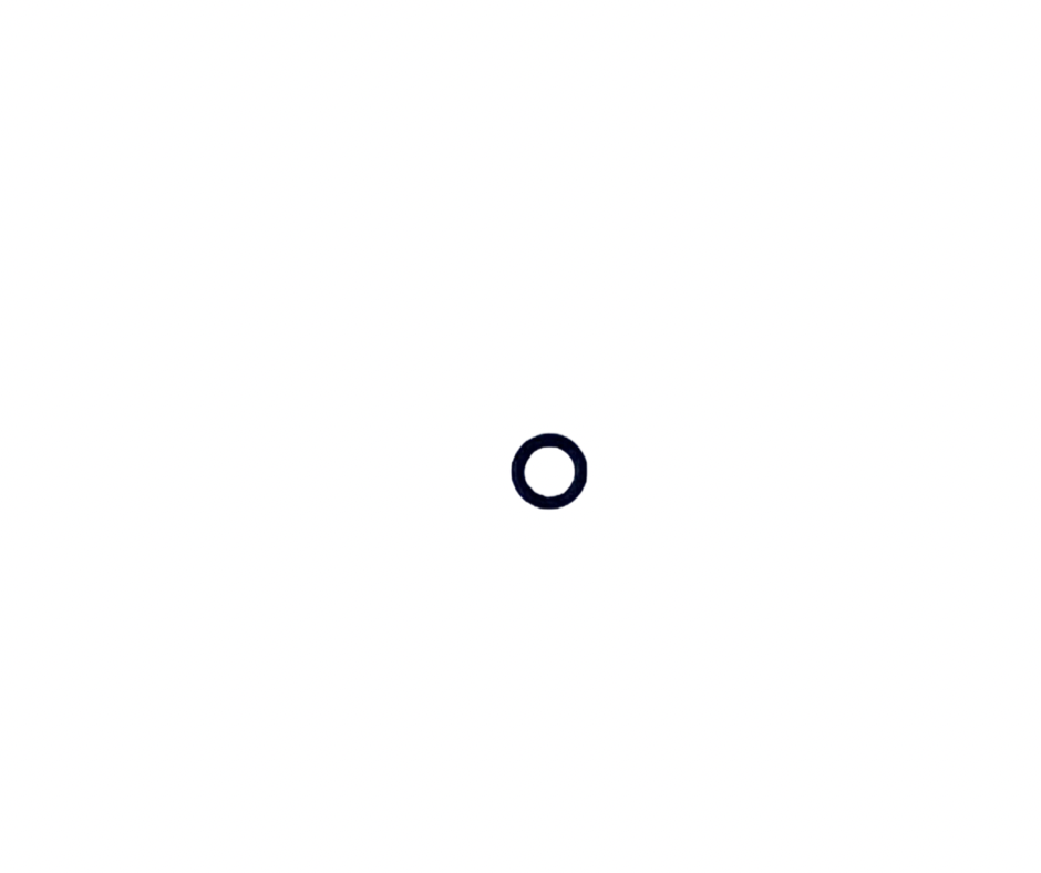 O Ring Pack of 20